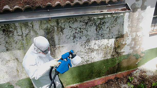 Top rated local Mold Remediation specialists in Coulee Dam, WA